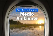 🌎 Día Mundial del Medio Ambiente